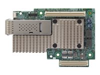 Broadcom BCM957504-M1100G16 - Verkkosovitin - OCP - 100 Gigabit Ethernet x 1 BCM957504-M1100G16