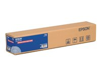 Epson Premium Glossy Photo Paper (170) - Kiiltävä - Rulla (41,9 cm x 30,5 cm) 1 rulla (rullat) valokuvapaperi malleihin SureColor P5000, SC-P5000, P7500, P9500, T2100, T3100, T3400, T3405, T5100, T5400, T5405 C13S042076