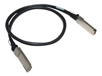 HPE Aruba - 100GBase direct attach cable - QSFP28 (uros) to QSFP28 (uros) - 1 m malleihin HPE Aruba 8325-32C, 8325-48Y8C R9F77A#B01