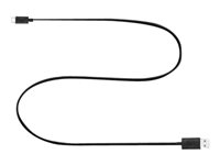 Bang & Olufsen - USB-kaapeli - USB (uros) to 24 pin USB-C (uros) - 1.25 m - musta malleihin Beolit 17; Beoplay A1, A2, E8, E8 2.0, H4 2nd, H8i, H9, H9i, P2, P6 1974901