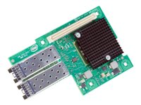 Intel Ethernet Server Adapter X520-DA2 - Verkkosovitin - PCIe 2.0 x8 - 10GbE X520DA2OCP