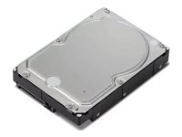 Lenovo - Kiintolevyasema - 6 Tt - sisäinen - 3.5" - SATA 6Gb/s - 7200 kierrosta/min malleihin ThinkStation P330 Gen 2; P340; P350; P520; P720; P920 4XB0X87802