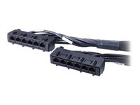 APC Data Distribution Cable - Verkkokaapeli - TAA-yhteensopiva - RJ-45 (naaras) to RJ-45 (naaras) - 3.4 m - UTP - CAT 6 - musta DDCC6-011