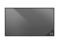 NEC MultiSync P555 PG-2 - 55" Diagonaaliluokka P Series LED-taustavalaistu LCD-näyttö - digital signage -ratkaisu - 4K UHD (2160p) 3840 x 2160 - HDR - reunavalaistu - musta, pantone 426M 60005859