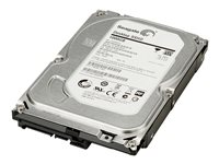 HP - Kiintolevyasema - 1 Tt - sisäinen - 3.5" - SATA 6Gb/s - 7200 kierrosta/min - puskuri: 32 Mt malleihin Workstation Z1 G5, Z2 G4, Z2 G5, Z2 G8, Z2 G9, Z230, Z4 G4, Z420, Z6 G4, Z620, Z640, Z8 G4 LQ037AA