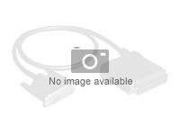 HPE MiniSAS interface cable - Ulkoinen SAS-kaapeli - 4-linjaa - 4 x Mini SAS HD (SFF-8644) (uros) to 26 nastainen 4x Shielded Mini MultiLane SAS (SFF-8088) (uros) - 4 m malleihin ProLiant ML110 Gen9, ML110 Gen9 Base, ML110 Gen9 Entry K2R10A