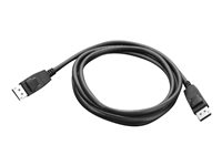 Lenovo - DisplayPort -kaapeli - DisplayPort (uros) to DisplayPort (uros) - 1.8 m malleihin ThinkCentre M75t Gen 2; M80s Gen 3; M90a Gen 3; M90q Gen 2; M90t Gen 3; ThinkCentre neo 70 0A36537